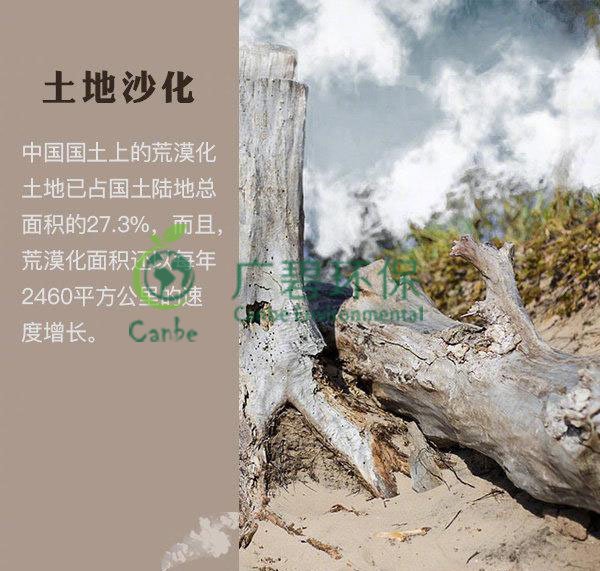 世界地球日 我們能為地球做些什么？(圖4)