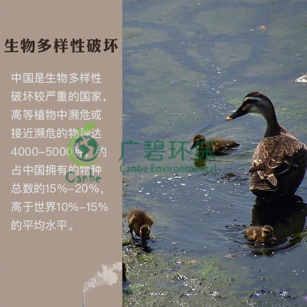 世界地球日 我們能為地球做些什么？(圖6)
