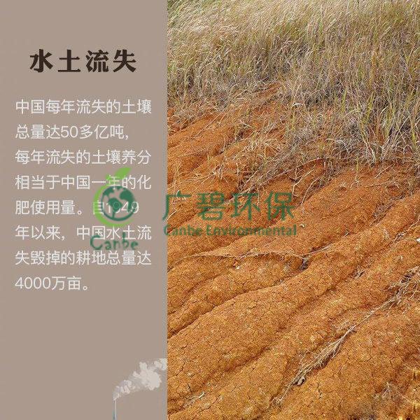 世界地球日 我們能為地球做些什么？(圖7)