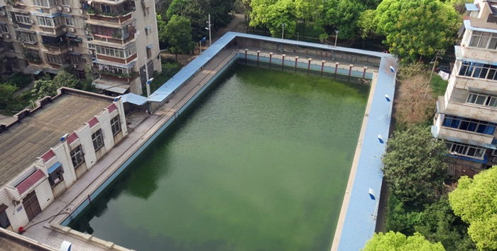 游泳池水變綠是什么原因？游泳池水處理方法