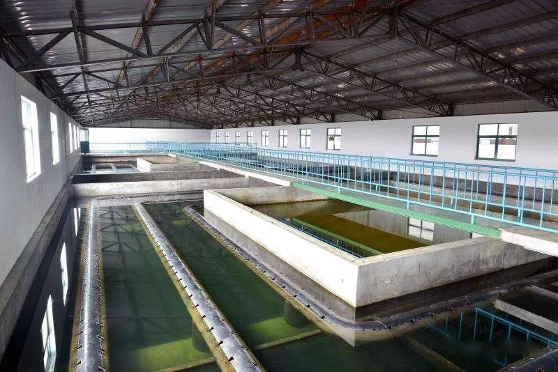 什么是制糖廢水？制糖廢水處理技術(shù)
