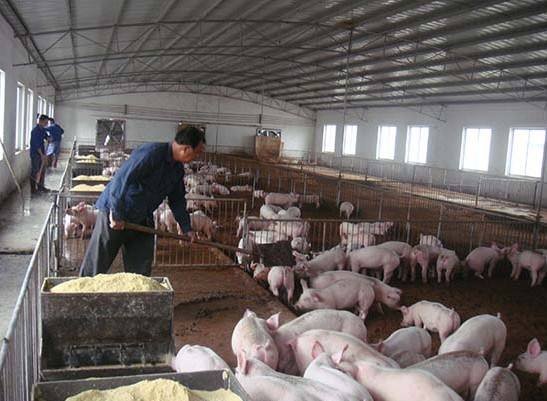 什么是養(yǎng)殖廢水？養(yǎng)殖廢水處理工藝