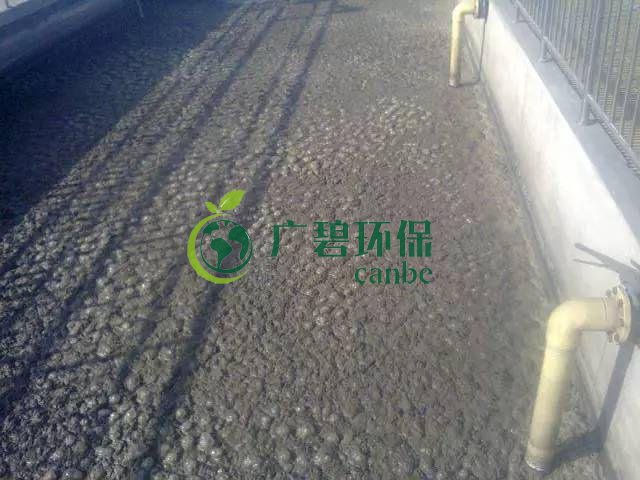 污泥發(fā)黑是什么原因造成？污泥發(fā)黑經(jīng)驗(yàn)分享(圖1)