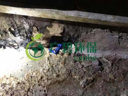 廣州旺旺食品廢水直排，永和河大量魚類死亡(圖4)