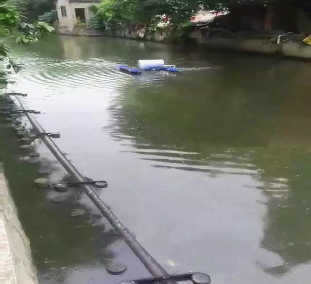 廣東公布省級河湖最新河湖長名單！