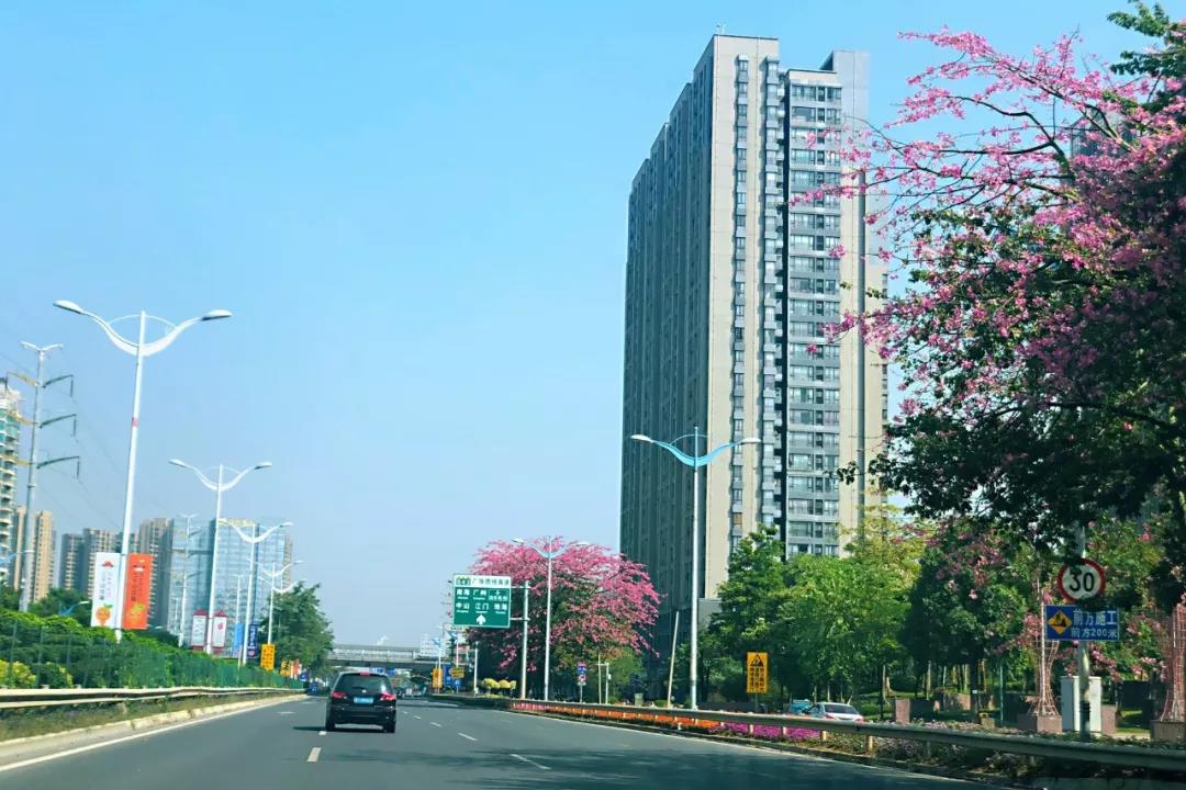 環(huán)境部印發(fā)《規(guī)劃環(huán)評技術(shù)導(dǎo)則 總綱》，項(xiàng)目環(huán)評部分章節(jié)可簡化