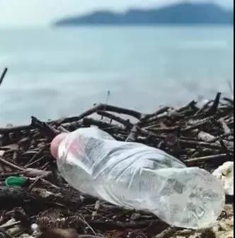 世界地球日|珍愛地球，人與自然和諧共生(圖8)