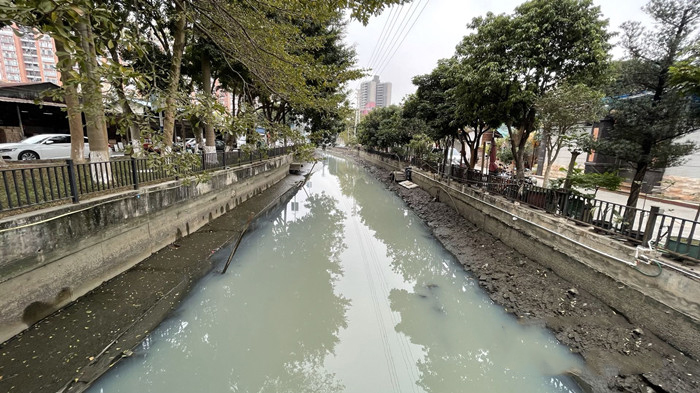 順德大良石洛涌、八坊涌整治見成效(圖3)